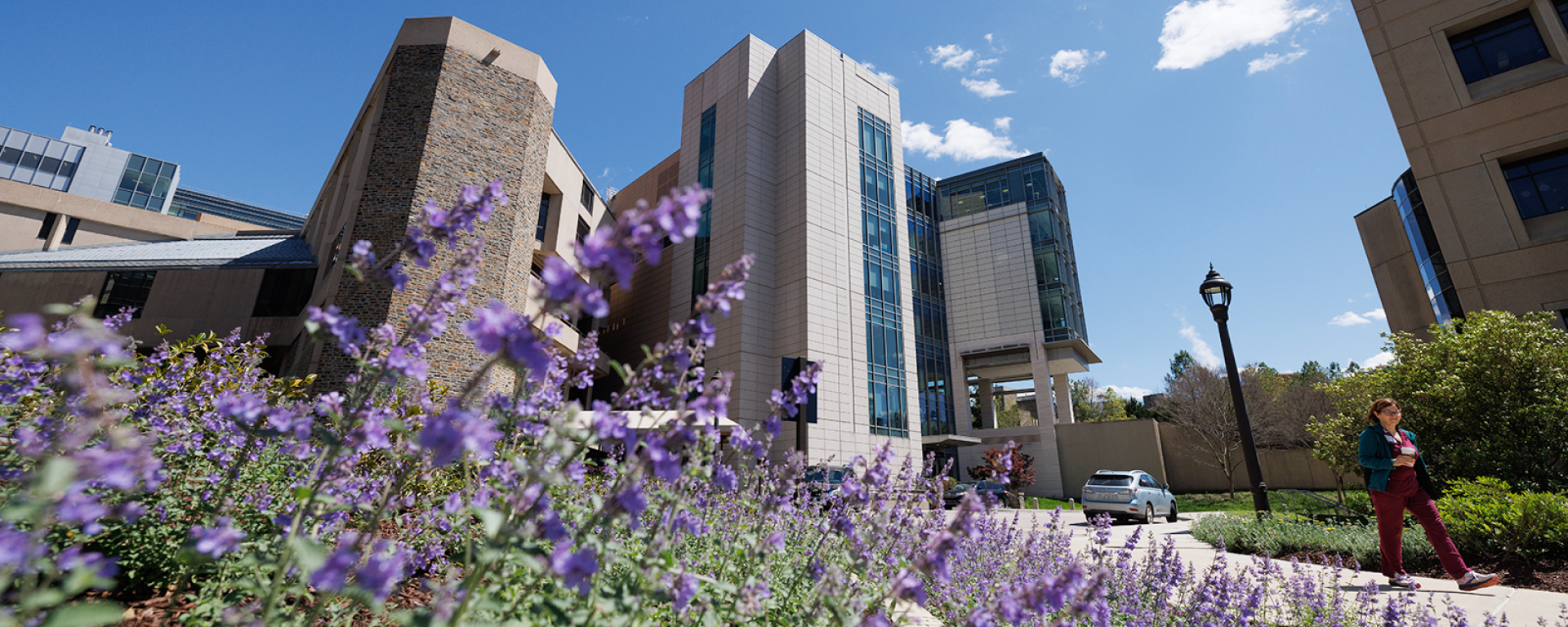 view of the Searle Center and the Trent Semans Center with purple flowers in the foreground.